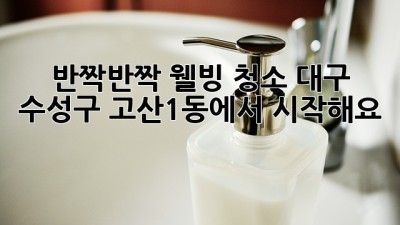 ✨반짝반짝✨ 웰빙 청소, 대구 수성구 고산1동에서 시작해요! 🏡